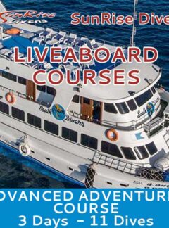 advanced-adventurer-liveaboard-courses-3-days-sunrise-divers