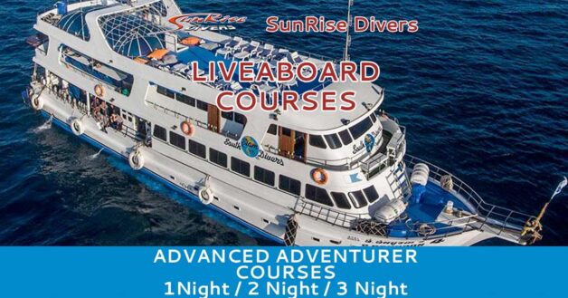 Liveaboard Courses