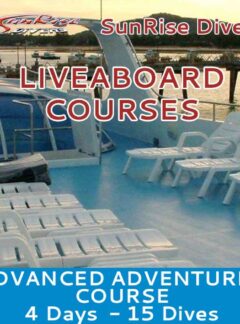 advanced-adventurer-liveaboard-courses4-days-sunrise-divers