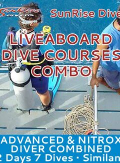 advanced-adventurer-nitrox-course-sunrise-divers-7-dives-feat