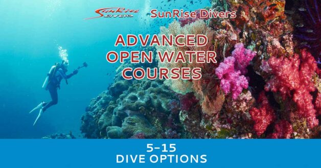 Advanced Open Water Diver