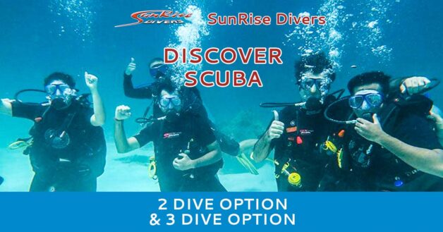 Discover Scuba Diving