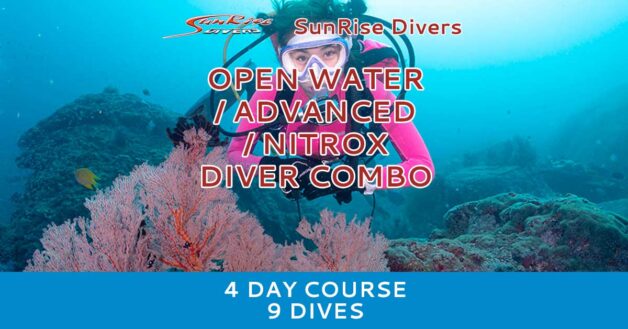 Open Water, Advanced Adventurer & Nitros Diver Combined