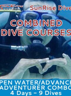 open-water-advanced-open-water-sunrise-divers-category-feat