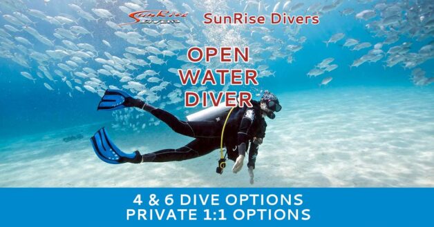 Open Water Diver Course