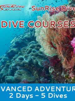 sunrise-divers-advanced-adventurer-2-days-5-dives-feat