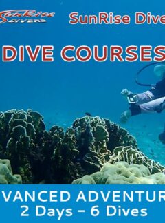 sunrise-divers-advanced-adventurer-2-days-6-dives-feat