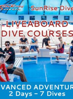 sunrise-divers-advanced-adventurer-2-days-7-dives-feat