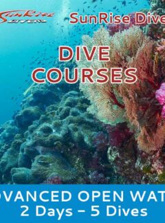 sunrise-divers-advanced-open-water-2-days-5-dives-feat