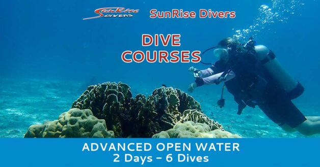 SSI Advanced Advanced Open Water Diver Course 2 Days - 6 Boat Dives