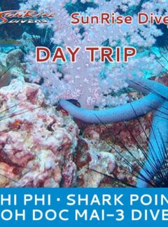 sunrise-divers-daytrip-PhiPhi-SharkPoint-KohDocMai-feat