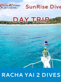 sunrise-divers-daytrip-RachaYai-2-dives-feat