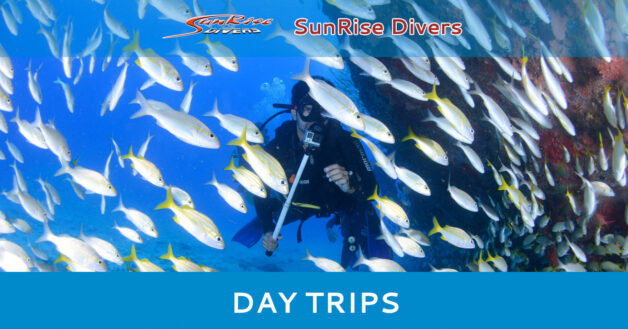 Scuba Diving Day Trips