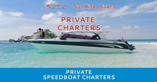 Private Speedboat Charter