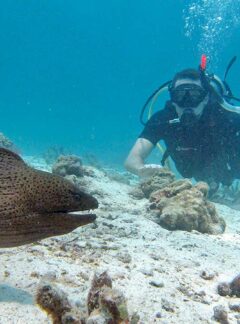 sunrise-divers-daytrip-racha-yai-diver-moray-eel