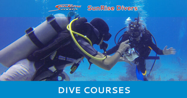 Dive Courses