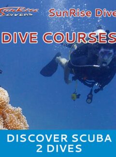 sunrise-divers-dive-courses-discover-scuba-2-dives-feat