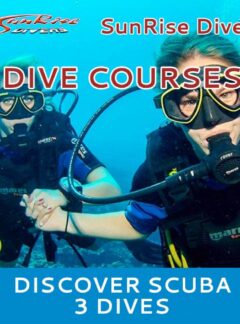 sunrise-divers-dive-courses-discover-scuba-3-dives-feat