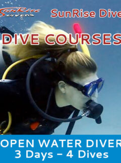 sunrise-divers-dive-courses-open-water-4-dives-feat