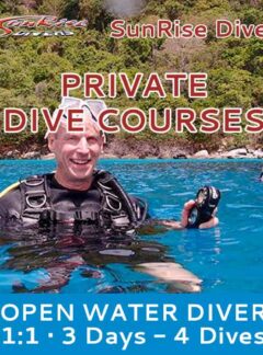 sunrise-divers-dive-courses-private-open-water-4-dives-feat