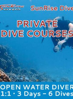 sunrise-divers-dive-courses-private-open-water-6-dives-feat