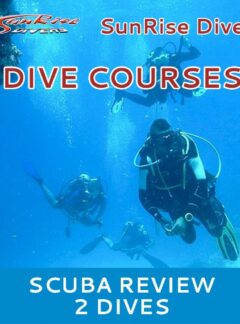 sunrise-divers-dive-courses-scuba-2-dives-review-feat