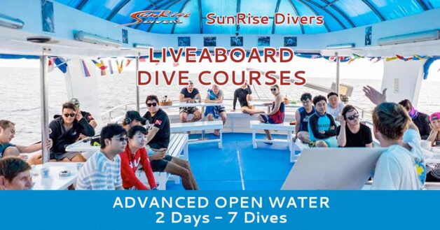 SSI Advanced Open Water Diver Course 2 Days 1 Night - 7 Dives by Similan Liveaboard