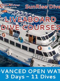 sunrise-divers-liveaboard-advanced-open-water-3-days-11-dives-feat