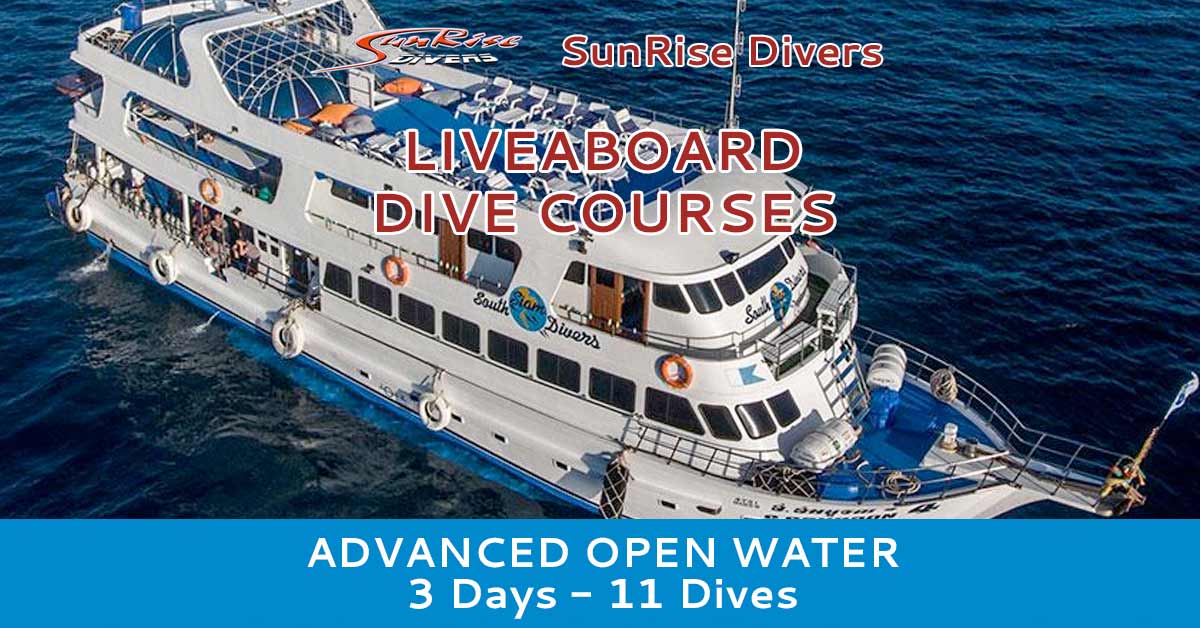 sunrise-divers-liveaboard-advanced-open-water-3-days-11-dives-feat sunrise-divers-liveaboard-advanced-open-water-3-days-11-dives-feat