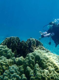 Diving at Racha