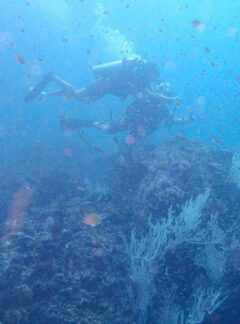 sunrise-divers-private-speedboat-PhiPhiIslands-divers